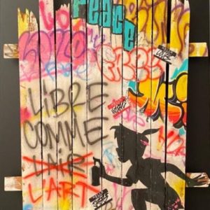 ONEMIZER (Né en 1987)