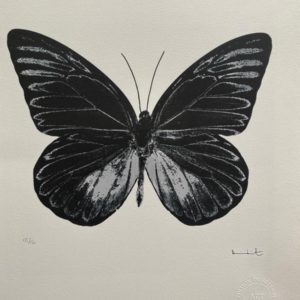 Damien HIRST (Né en 1965), D’après