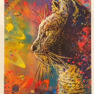 C215 (Né en 1973)
