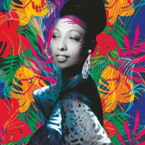 BRAIN ROY (MR&ROY, Né en 1980)