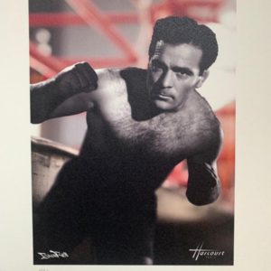 BRAIN ROY (MR&ROY, Né en 1980)
STUDIO HARCOURT