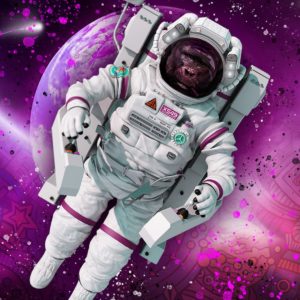 BRAIN ROY (MR&ROY, Né en 1980)