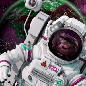 BRAIN ROY (MR&ROY, Né en 1980)