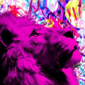 BRAIN ROY (MR&ROY, Né en 1980)