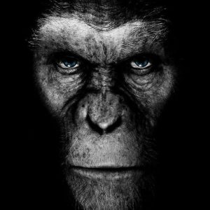 BRAIN ROY (MR&ROY, Né en 1980)