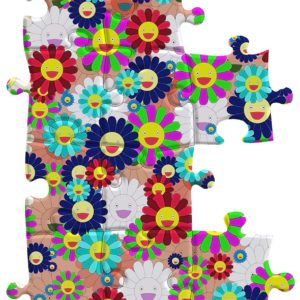 BRAIN ROY (MR&ROY, Né en 1980)