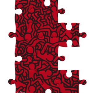 BRAIN ROY (MR&ROY, Né en 1980)