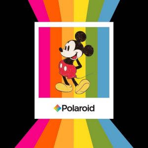 LOT N°152 - MONAKOE