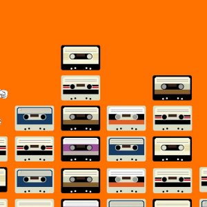 LOT N°154 - MONAKOE