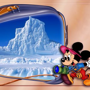 LOT N°157 - MONAKOE