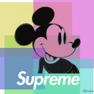 LOT N°161 - MONAKOE