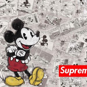 LOT N°162 - MONAKOE