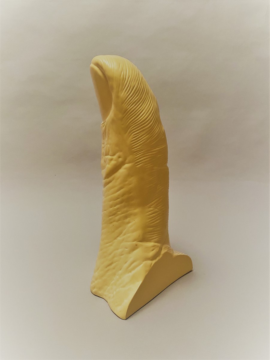 LOT N°109 - CESAR – Image 2