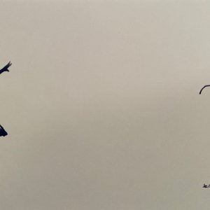 LOT N°216 - BANKSY (Né en 1974), D’APRES