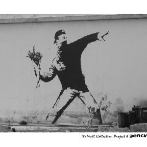 LOT N°216 -THE WALL COLLECTION PROJECT x BANKSY