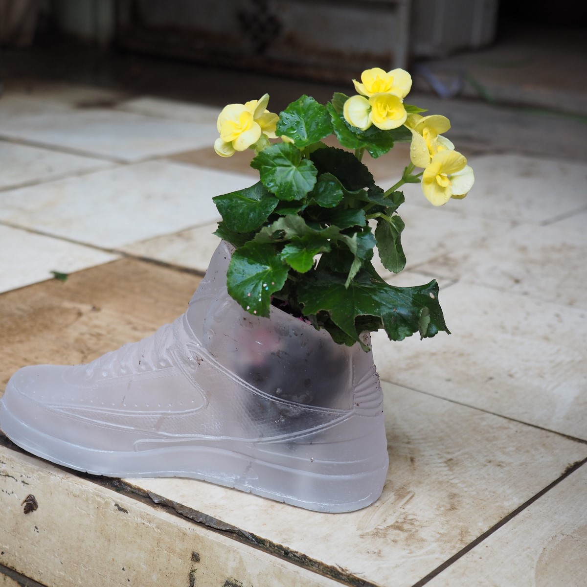 LOT N°123 -Mr FLOWER FANTASTIC – Image 4