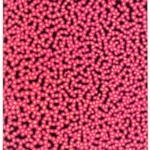 LOT N°341 - Yayoi KUSAMA (Né en 1929), D’Après
