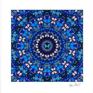 N°256-Damien HIRST (Né en 1965) (d'après)