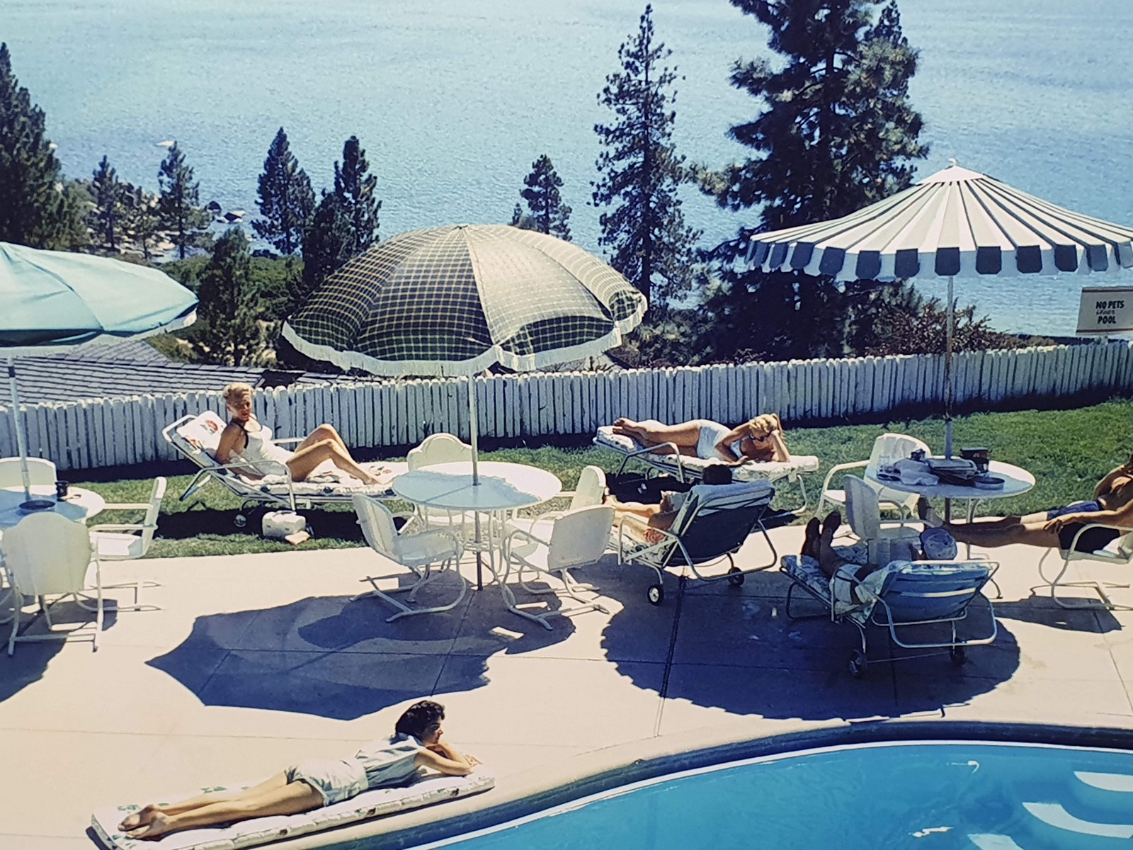 LOT N°7 Slim AARONS (1916 2006) - Image 3