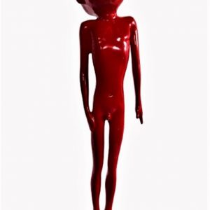 LIU BOLIN (Né en 1973)