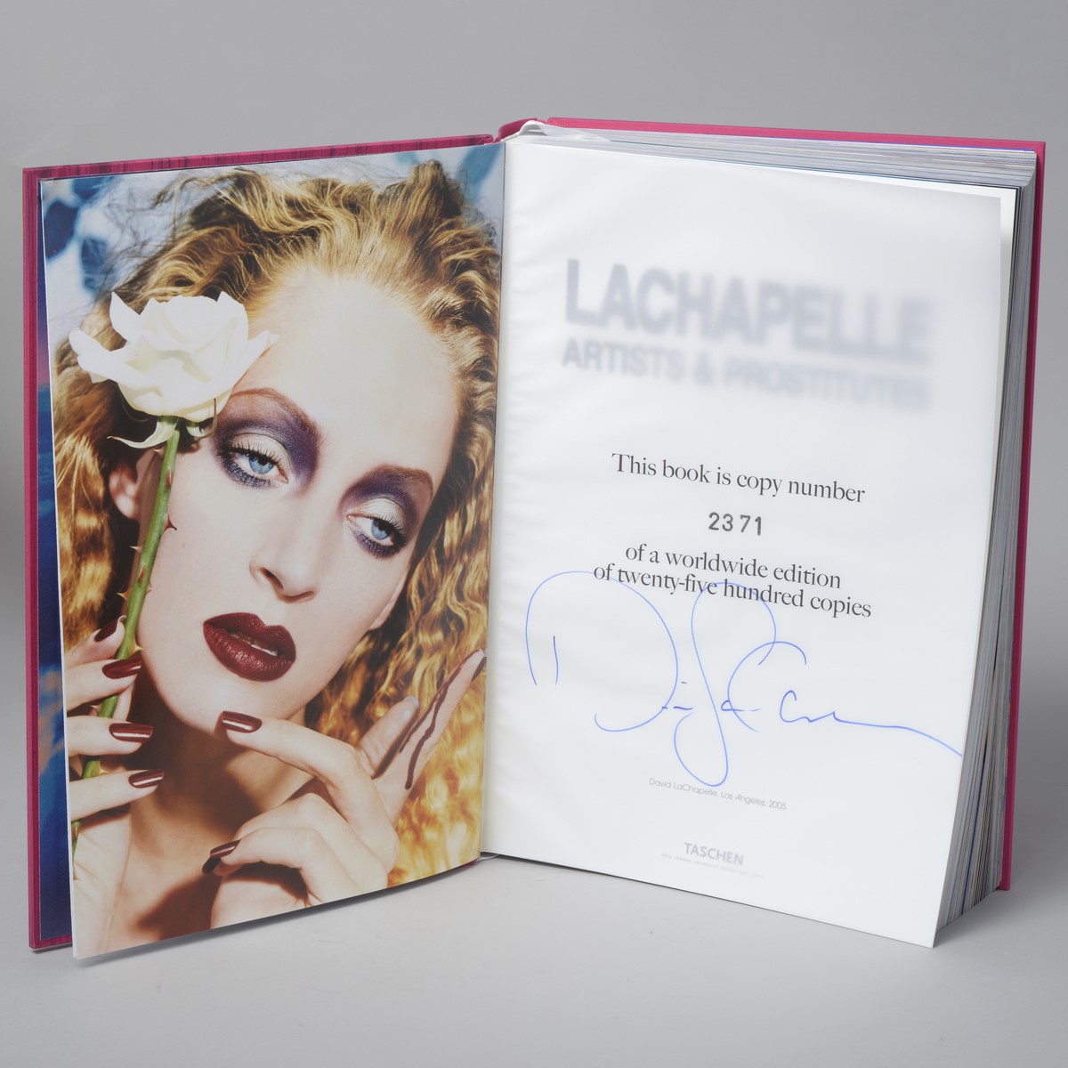 David LACHAPELLE (Né en 1968) – Image 2