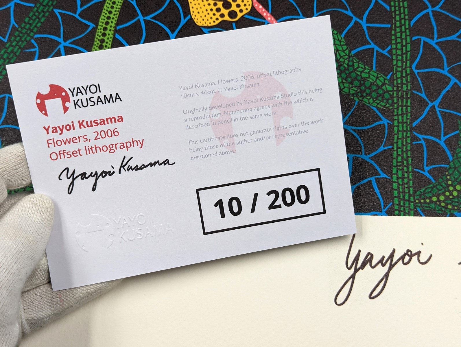 Yayoi KUSAMA (Né en 1929) - Image 5
