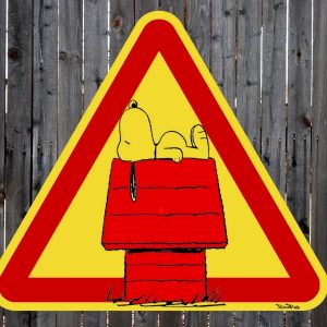 BRAIN ROY (MR&ROY, Né en 1980)