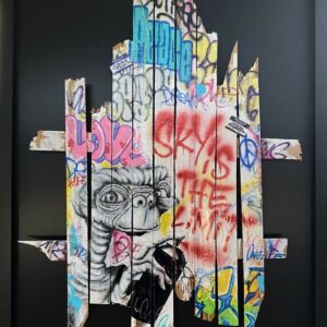 ONEMIZER (Né en 1987)  Sky is not Limit
