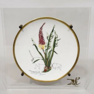 Salvador DALI (1904-1989).  « Kniphofia Aphrodissaca ».