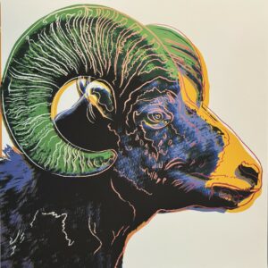Andy WARHOL(1928-1987), d’après  Bighorn Ram.