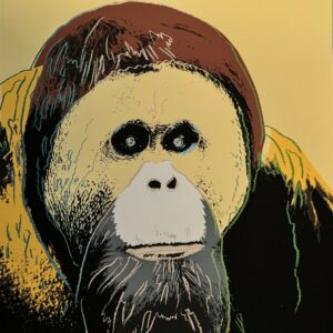 Andy WARHOL(1928-1987), d’après  Orang-Outan