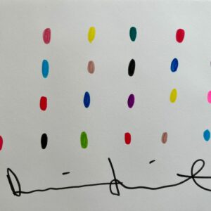 Damien HIRST (Né en 1965), Attribué à.  Sans titre