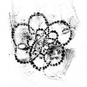 Jean-Michel OTHONIEL (Né en 1964)  La rose du Louvre