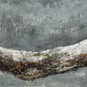 Clotilde ANCARANI (Née en 1965) Branche I