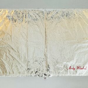 Andy WARHOL (1928-1987), D’Après.  Silver Clouds.
