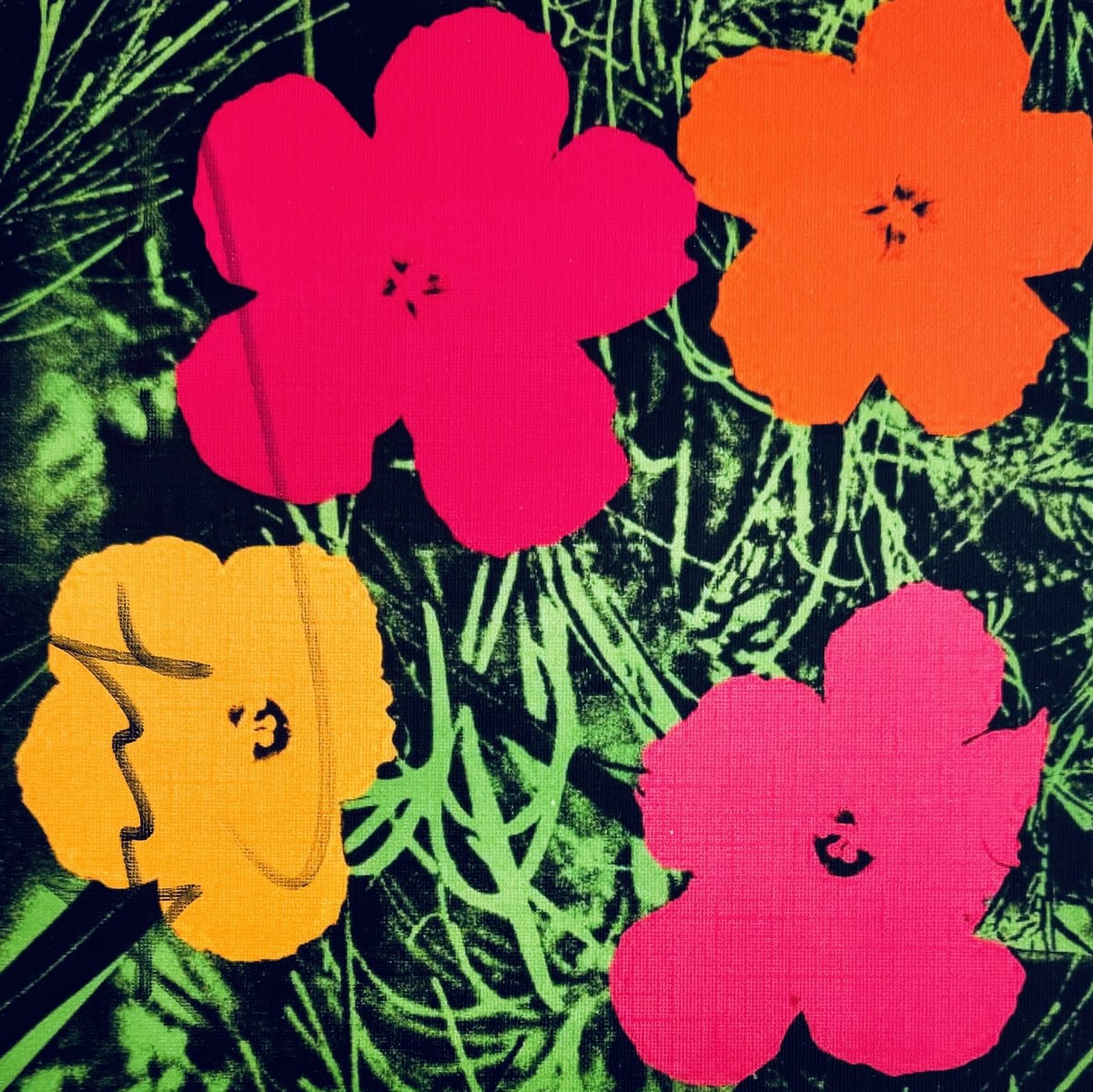 Andy WARHOL (1928-1987), d'après. Flowers 1964.