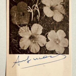 Andy WARHOL (1928-1987), Attribué à.  Flowers.