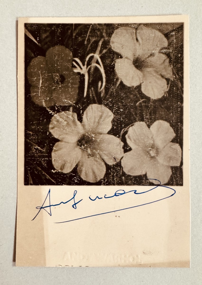 Andy WARHOL (1928-1987), Attribué à. Flowers.