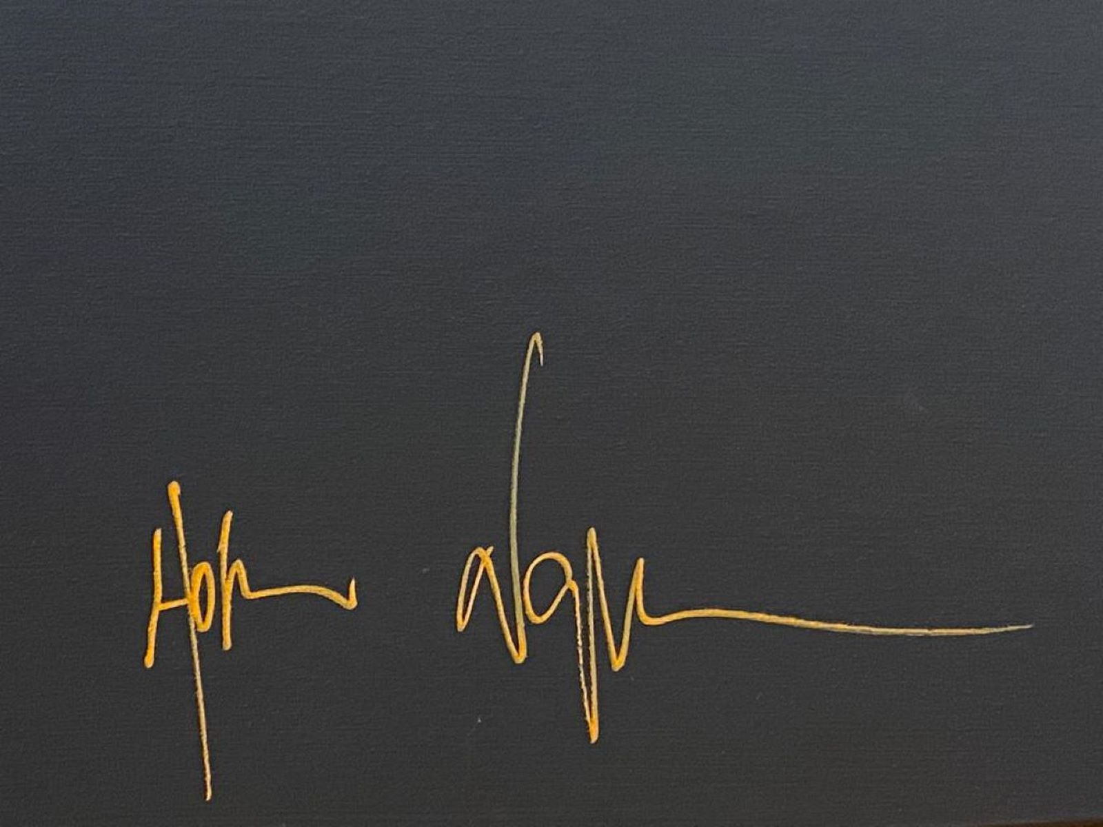 Hom NGUYEN (Né en 1972) HUMAN (Un monde meilleur),2019. – Image 5