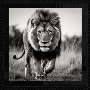 George CAMERON  The Majestic Lion in Motion.