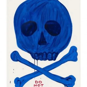 DAVID SHRIGLEY (NE EN 1966)  Everything is fine, do not worry.