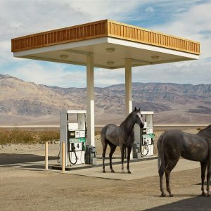 MR STRANGE (Né en 1964) Les Etalons bis DLX 4 par 3.