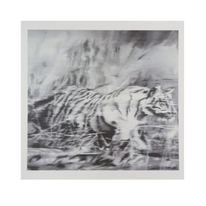 Gerhard RICHTER (Né en 1932)  Tiger, 1963/2023.