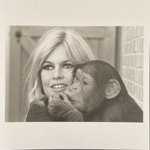 Léonard DE RAEMY (1924-2000) - Brigitte Bardot, 2015