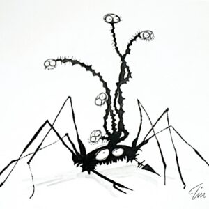 Tim BURTON (Né en 1958)   The spider.