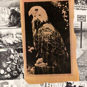 Robert RAUSCHENBERG (1925-2008) Earth day 22 April, 1970.