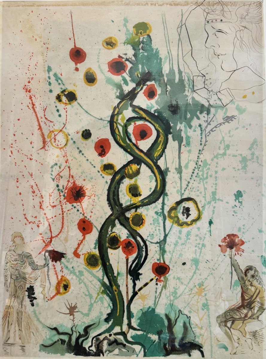Salvador DALI (1904-1989). « Le Songe d’un Alchimiste ou l’arbre de