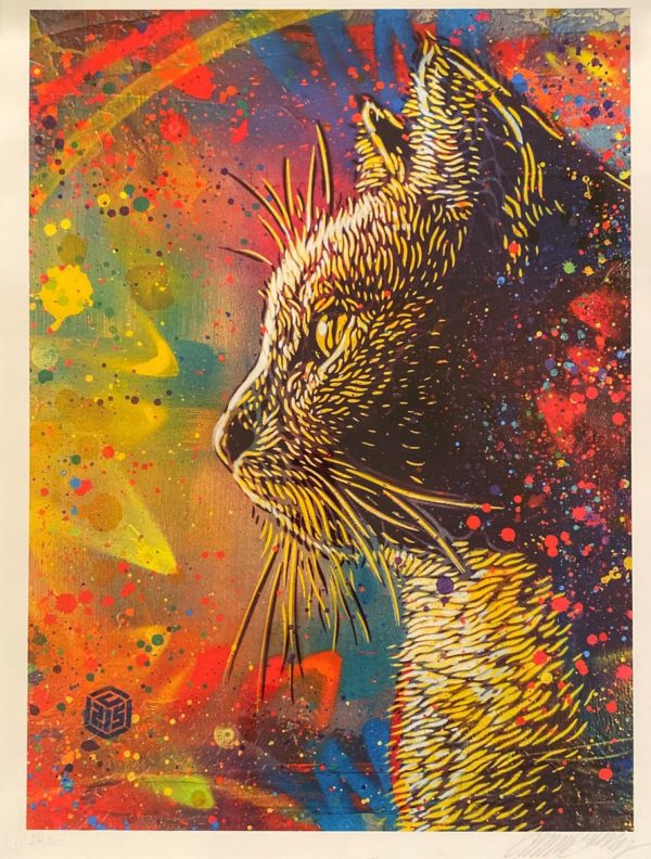 C215 (Né en 1973)