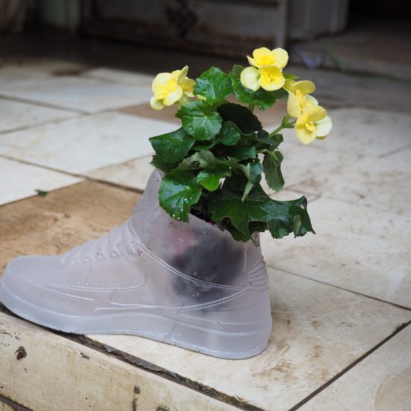LOT N°129 - Mr FLOWER FANTASTIC – Image 4