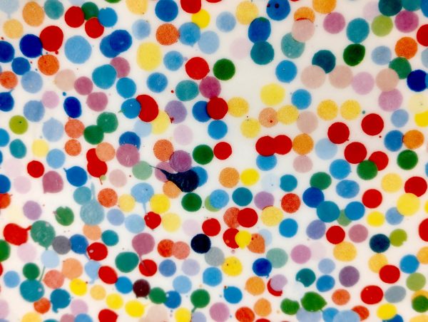 LOT N°20 Damien HIRST (Né en 1965) - Image 4